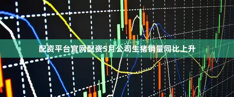 配资平台官网配资5月公司生猪销量同比上升