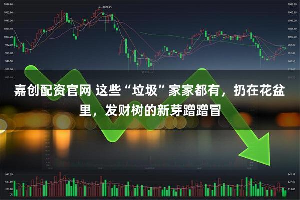 嘉创配资官网 这些“垃圾”家家都有，扔在花盆里，发财树的新芽蹭蹭冒